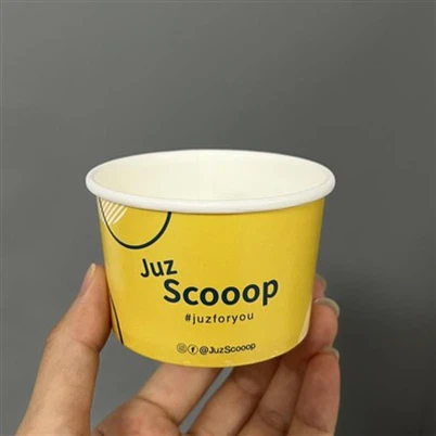 Gelato Ice Cream Cup