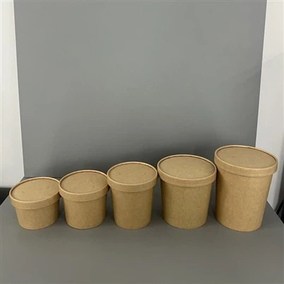 Paper To Go Containers