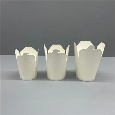 Takeaway Noodle Boxes